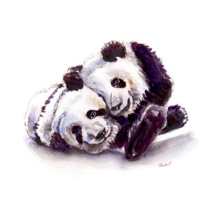 Giant Panda Watercolor Print