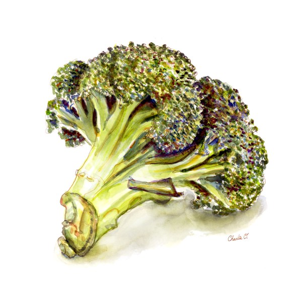 Broccoli Watercolor Print Eating Little Trees
