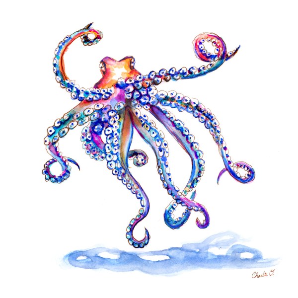 Octopus Watercolor Print