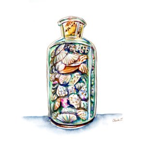 Seashells In A Bottle Watercolor Print - Charlie O'Shields - Doodlewash