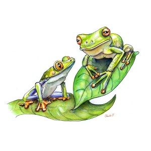 Two Frogs Mother Child Watercolor Print Detail