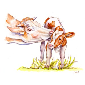 Cow and Calf Watercolor Print Detail
