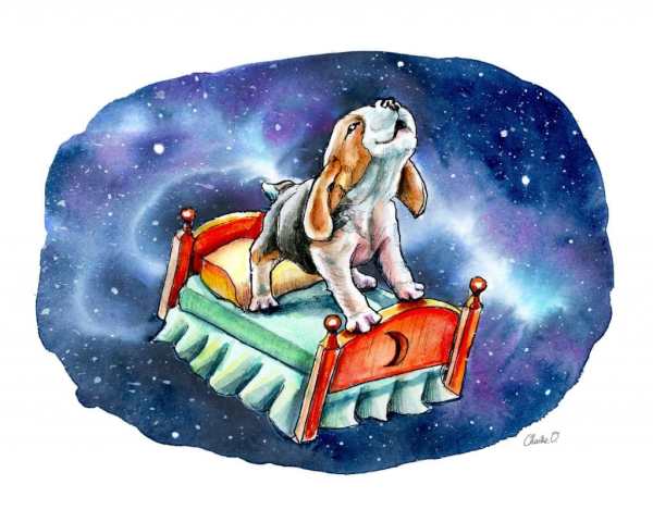 Galaxy-Sky-Dreams-Beagle-On-Bed-Watercolor-Illustration-Painting_Signed_printfile_Detail