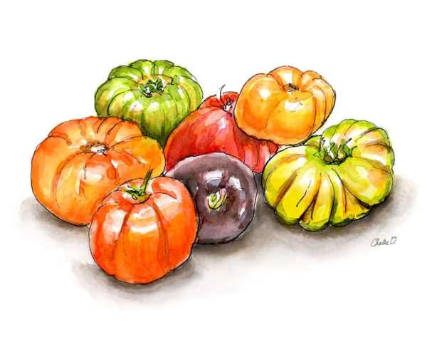 Heirloom Tomatoes Watercolor Print Detail copy